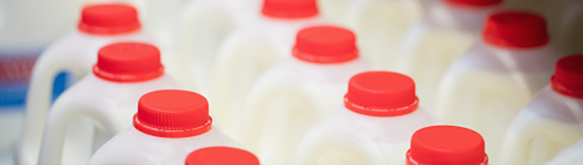 Contamination Inspection for Milk and Dairy Companies FlexXray
