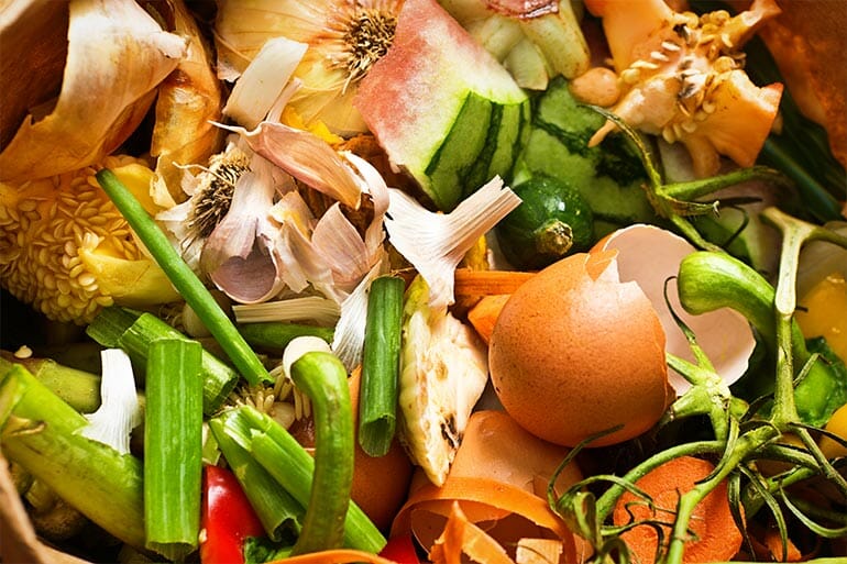 FLX-Blog-The-Impact-of-Food-Waste-and-Why-It-Matters-To-Your-Company